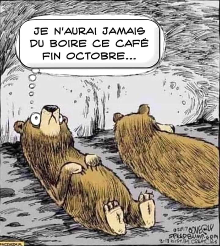 AnneEecke's tweet photo. Le café, c'est le mal. https://t.co/9FqnF58Eyw