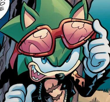 PURPNlNJA's tweet image. "Name's Scourge. Coolest hedgehog in the town."