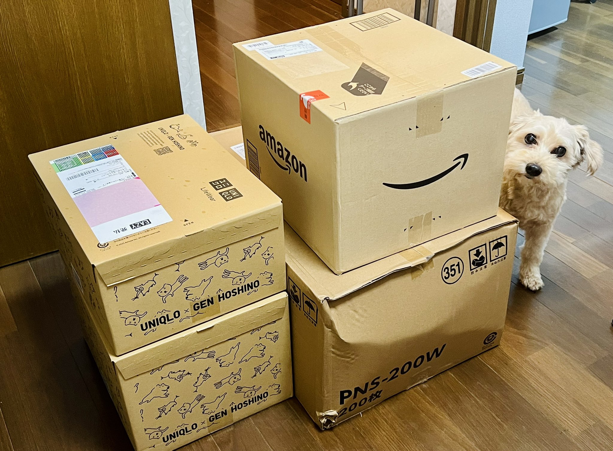 海風おねえさん Pa Twitter 通販がまとめて届きました Amazonは愛犬のフードとシートです Uniqloは息子のパジャマですが1箱は靴下3枚だけ入ってました 追加注文したわたしが悪かった ブラックフライデーやuniqloのセールで荷物多いのに欠航続きでヤマトの皆様は