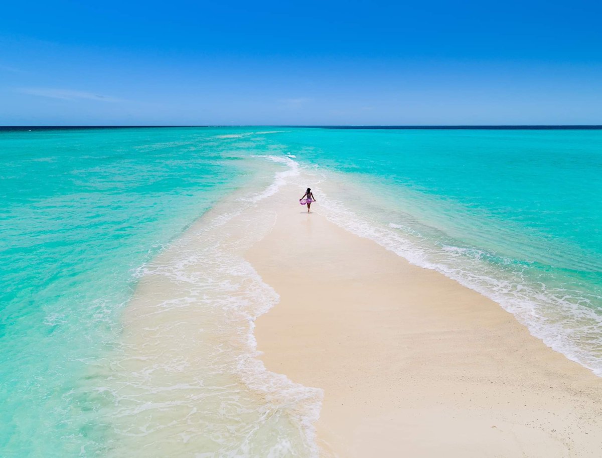 -20% Discount on all villas

bedsmore.com/en/hotel/detai…

#Kuramathi #Maldives #Kuramathi_Island <a href="/Maldives/">𝕄𝕒𝕝𝕕𝕚𝕧𝕖𝕤 𝕀𝕟𝕤𝕚𝕕𝕖𝕣 🇲🇻</a> #Kuramathi_Resort #Kuramathi_Maldives #Kuramathi_Island_Maldives #Kuramathi_Resort_Maldives

Bedsmore.com info@bedsmore.com <a href="/BedsMorecom/">BedsMore MV</a>