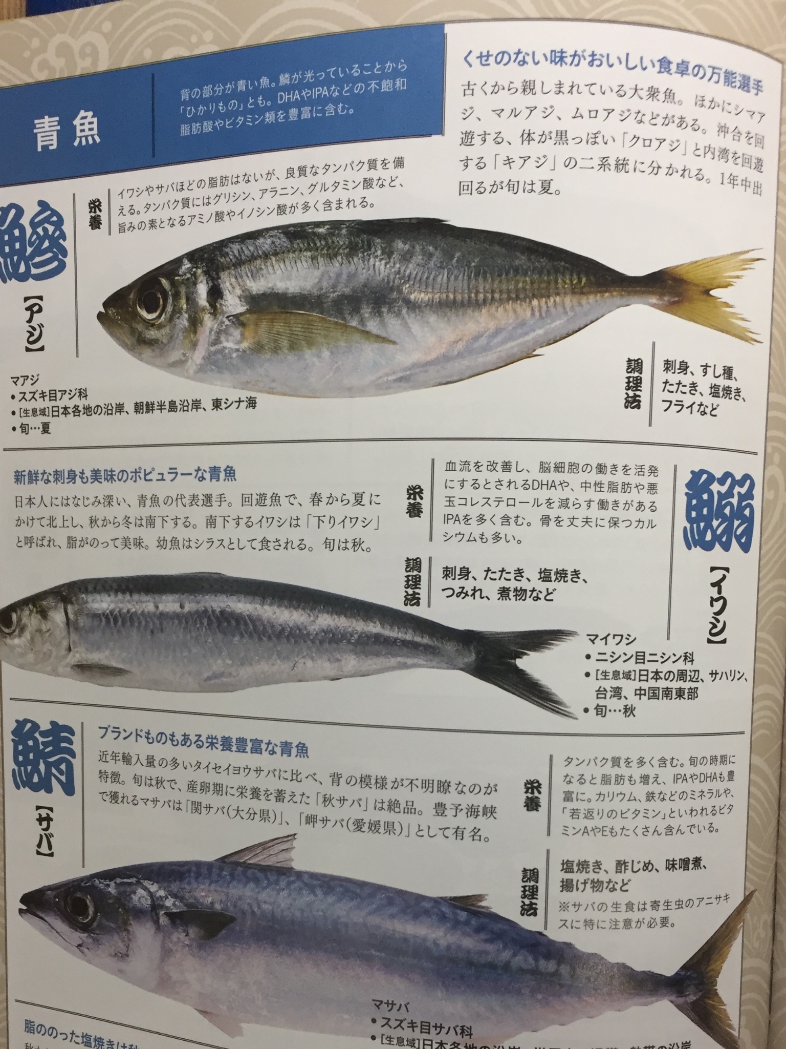Twitter 上的 鯵家 赤羽 Y Y Kitchen こんにちは 鯵家 東京おいしい魚の店 美味い アジナゲナゲット 鯵料理をたくさんご用意して 皆さんを待っています ぴあ T Co Rtan1tfcjt Twitter