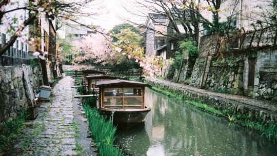 orien (@ladyoforien) on Twitter photo 