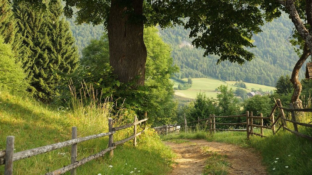 orien (@ladyoforien) on Twitter photo 