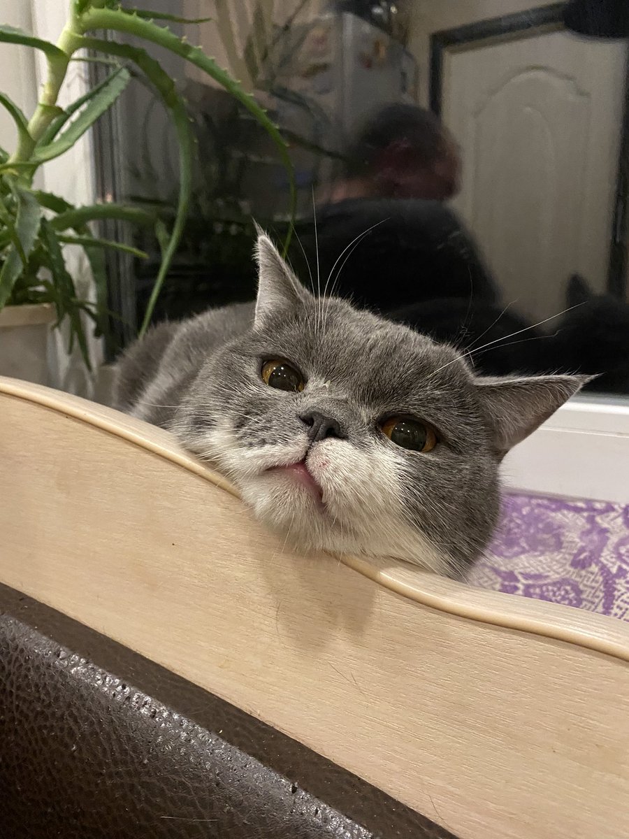 Mathreshka's tweet image. Красивое