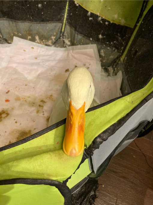 そら廻にお邪魔させて貰った 