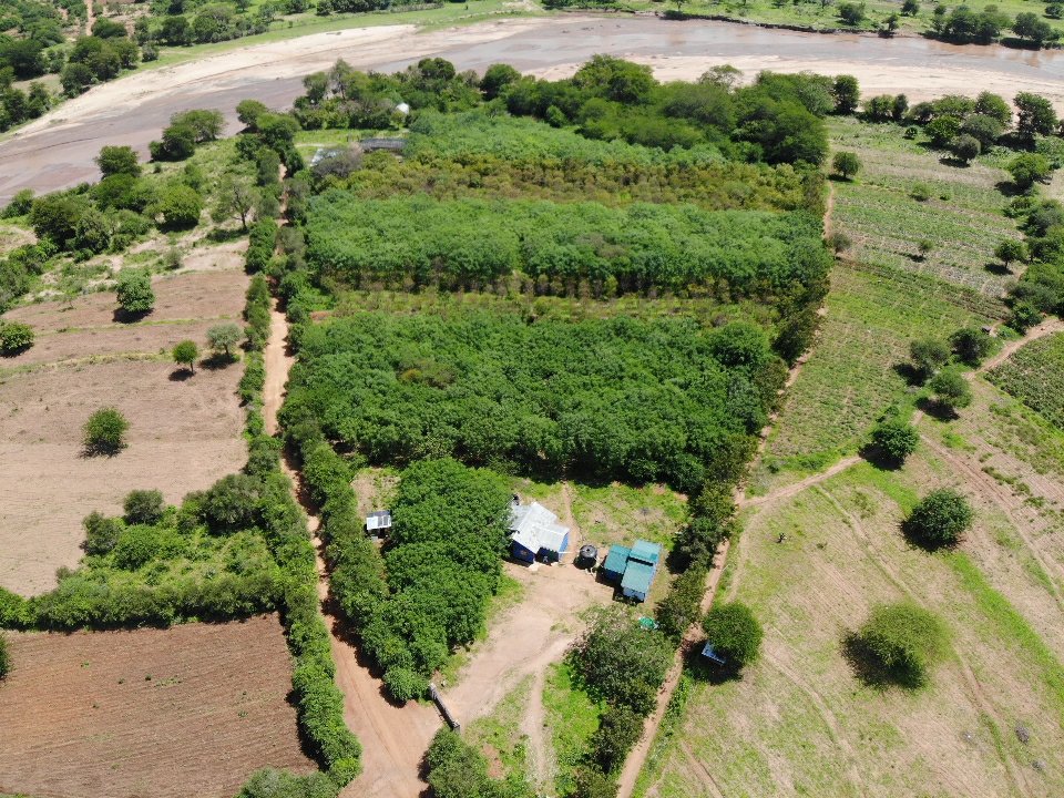 africawoodgrow's tweet photo. The Kathome farm this morning, left corner near the river you see the nursery and in the front our headquarters. https://t.co/qy0Pfrf8Od