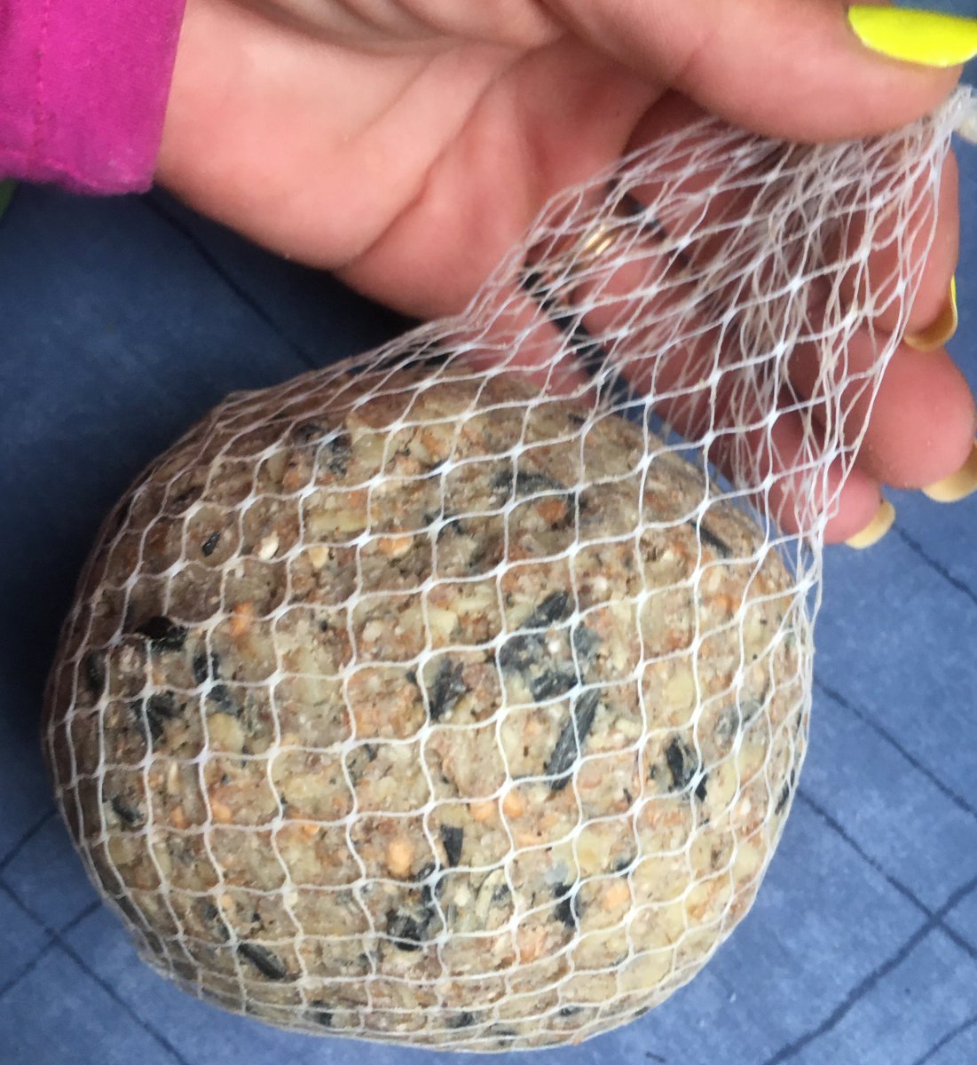 vanjavucko's tweet photo. Ostavite hranu vrapcima i senicama
Sad po snegu gradske ptice teze nalaze hranu
⚠️Nikako hleb ne ne i ne⚠️
Suncokret ovas kikiriki
proso lan susam
Ili masnu kuglu i malo mlake vode 💦
#pticesrbije #mojprozor #senice Kanovi drugari🦜♥️ https://t.co/8vBOYYUtTd