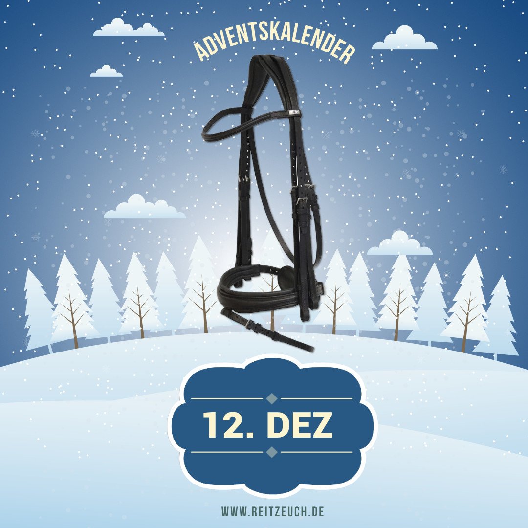 reitzeuch's tweet photo. Liebe #reiter und reiterinnen, kennt ihr schon unseren #adventskalender? Entdeckt auch unser #gewinnspiel auf https://t.co/XoYtbQ0wPU. https://t.co/wL5NdkKms8