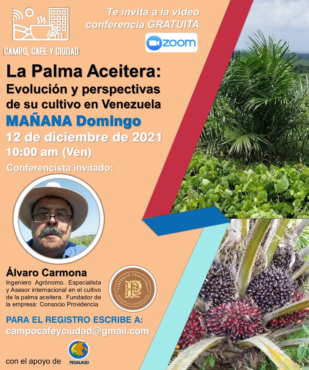 campocafeciudad's tweet photo. Hoy domingo #12Dic 10:00 am (hora de Venezuela). 

Conferencia en línea, abierta y gratuita. 

Aun puedes registrarte enviando un correo electrónico a campocafeyciudad@gmail.com

#Venezuela #Agricultura #PalmaAceitera #PalmaAfricana #ConferenciaOnLine #ConferenciaGratuita https://t.co/TO3Ub69JPb