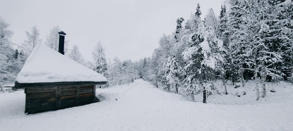 OurLapland's tweet photo. Sunday moods and peaceful midday in the Arctic circle ❄️🇫🇮  #VisitLapland #Finland https://t.co/WY1KdhIgfU