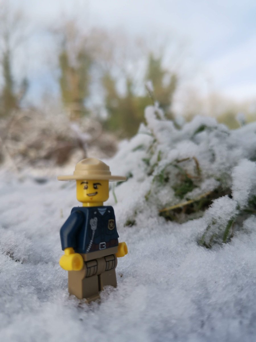 With the first #snow in Bricksville, #WildlifeRanger Aaron 'Wild Bill" Hickhock likes to get out and check that all is good in the woods and wilderness. #legopolice #afol