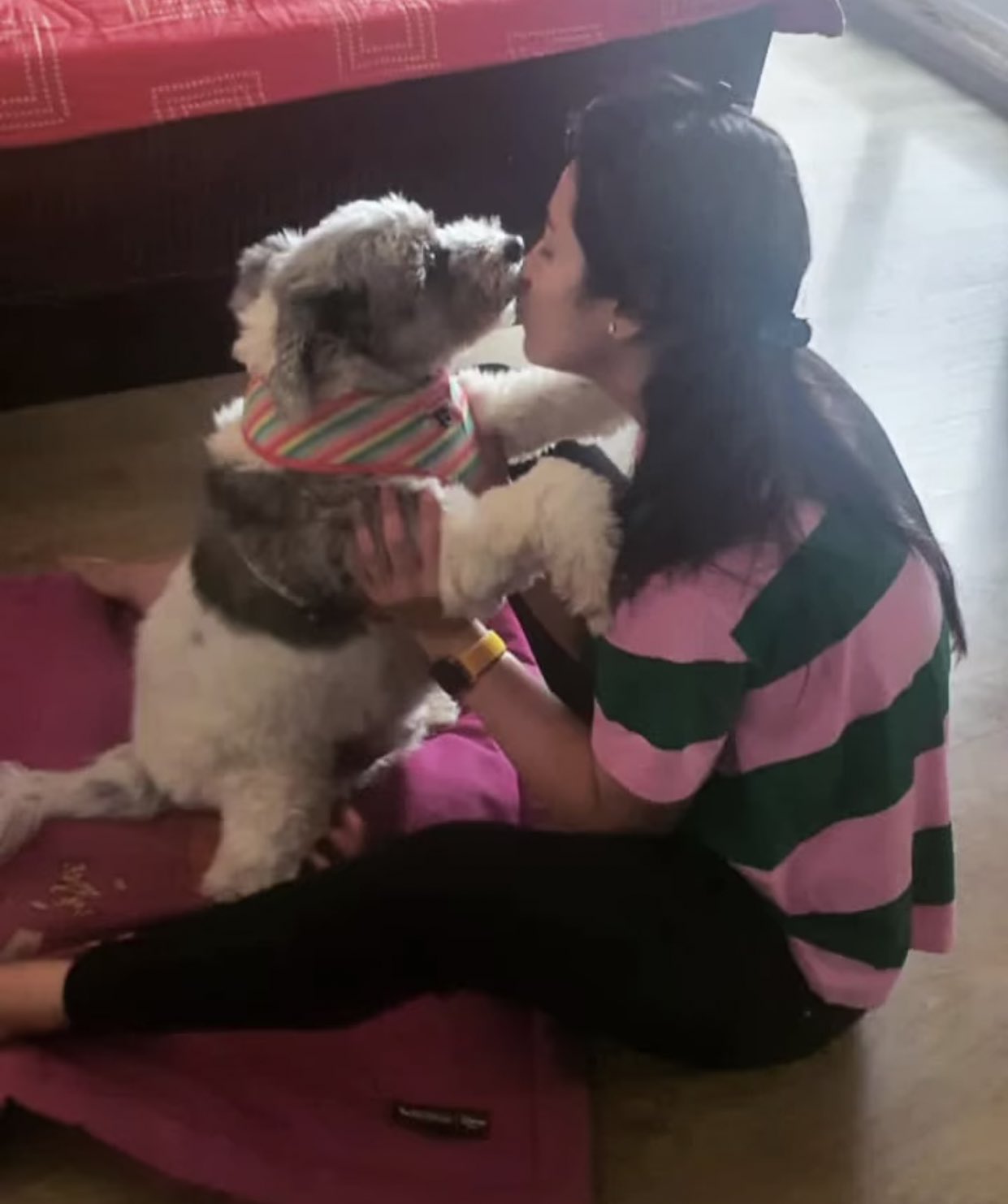 FGZfA2aUcAA2a4x?format=jpg&name=large