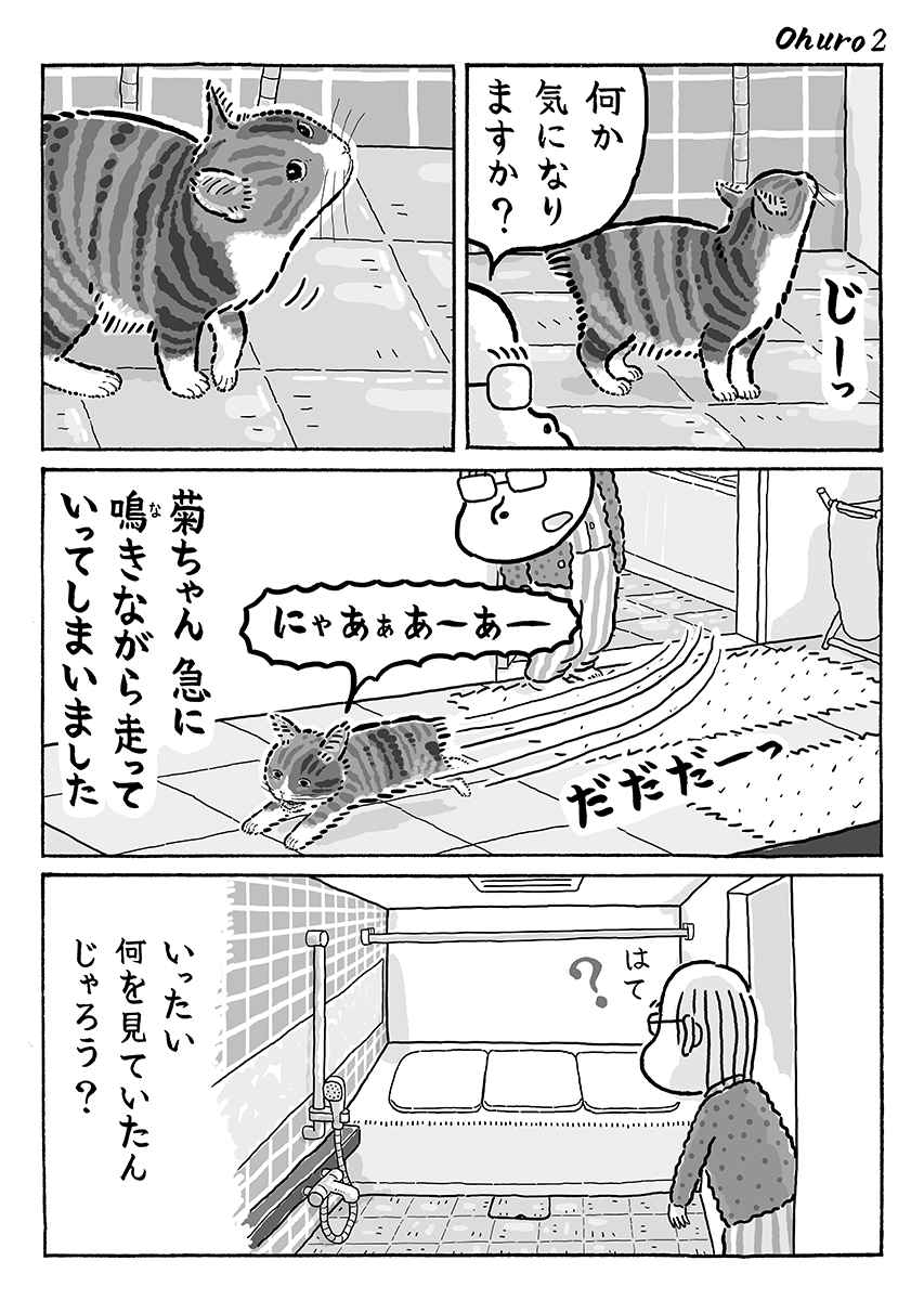 2ページ猫漫画「冬のお風呂」 #猫の菊ちゃん 