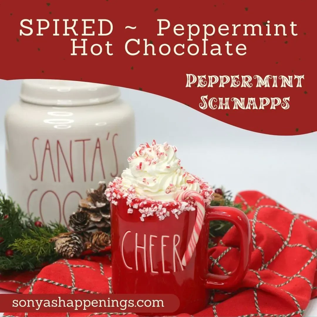 celebratehavfun's tweet photo. Spiked hot chocolate is the drink to warm you up this winter! #adulthotchocolate #boozyhotchocolate #spikedhotcocoa #drinkup https://t.co/hH80HMEic4 https://t.co/iUfXfstiMQ