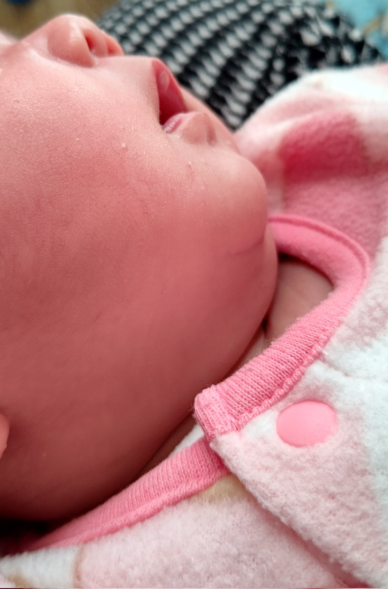 生後25日 Twitter Search Twitter