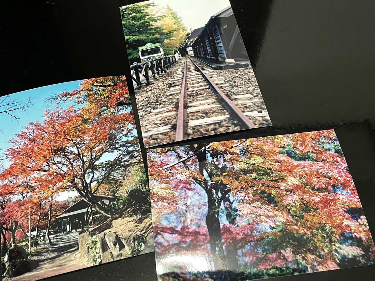 manu_bmd's tweet photo. フィルム現像出してきた〜🎞
ピント合ってるのかよく分からないのもあるけど、結構ちゃんと撮れてて良かった！
今度フィルムカメラだけでパーク歩きたいな✨ https://t.co/GzmVswXp85