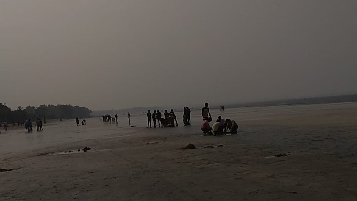 Vvaishnavi05's tweet photo. Chinchani beach,Chinchani,Dahanu was cleaned by 5 MAH GIRL'S BN NCC MUM GRP. 'A' Cadets.
As a cadet I am happy to be part of it.
Swachhata around us is an intergral part of day to day life.
@HQ_DG_NCC
#puneetsagarAbhiyan
@maximumunity
#maximumunity https://t.co/A3GC5BvQa6