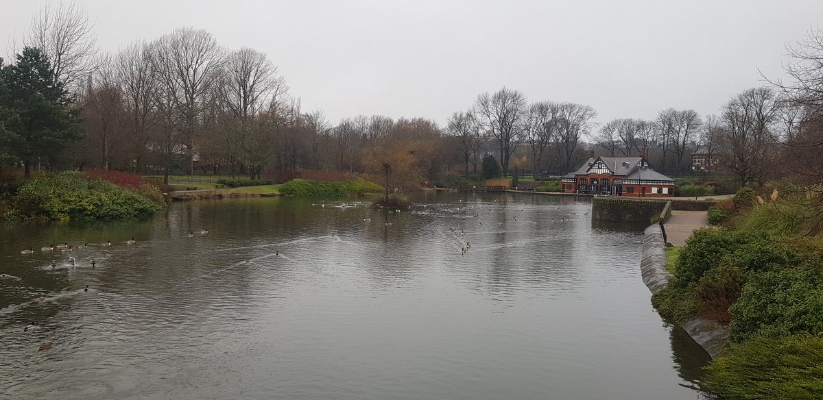 MancunianBirder's tweet photo. Drake North American Wood Duck Alexandra Park viewable from the Boathouse Cafe also 3 drake Goosander & 13 Tufted Ducks (12 drakes)
#urbanbirding #Oldham #BirdingOldham #GreaterManchester #RareEncounters https://t.co/YLoqZ89jqx