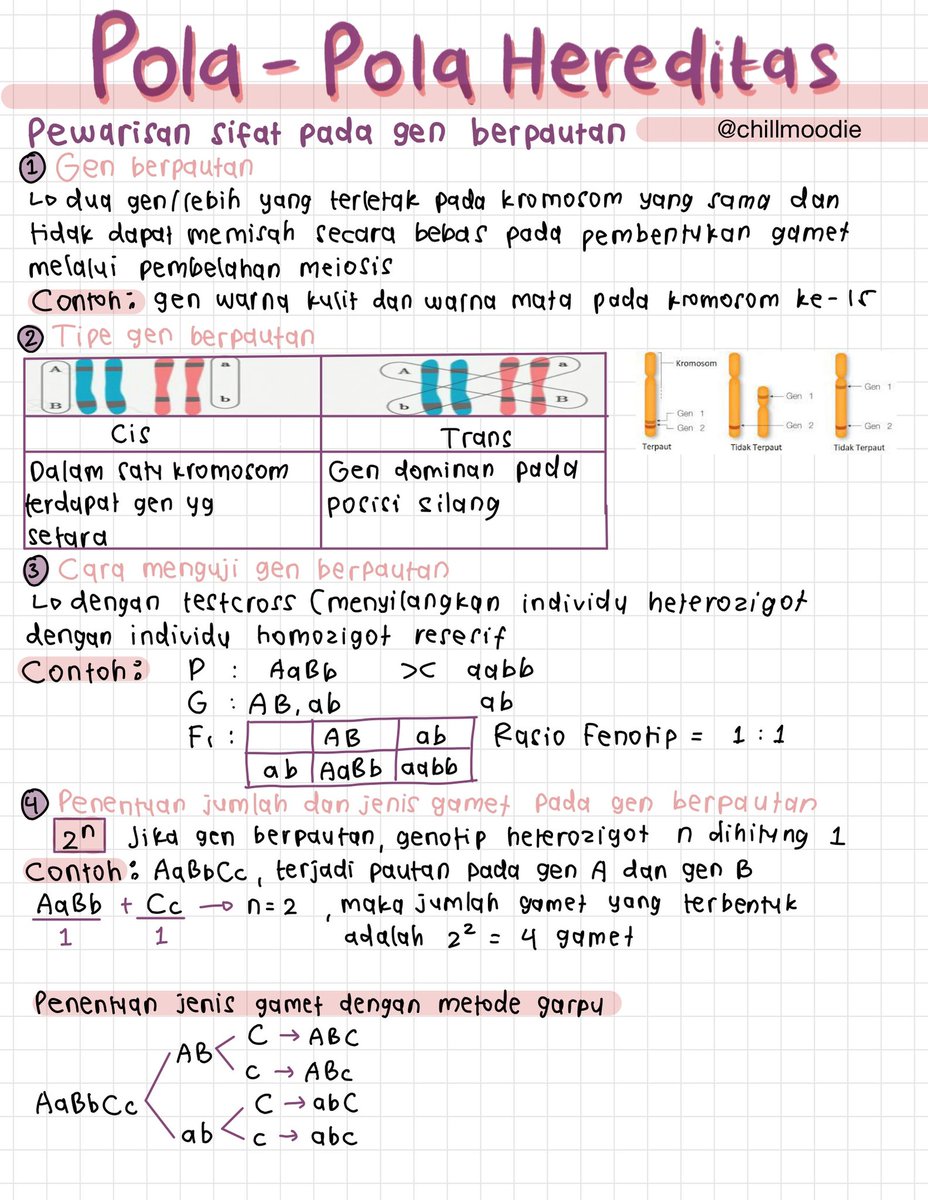 chillmoodie's tweet photo. – pola hereditas
[biologi kelas 12]
pdf: https://t.co/Dujuyn64Cz

sumber: rg
#catatanambis https://t.co/h07HdbAtke