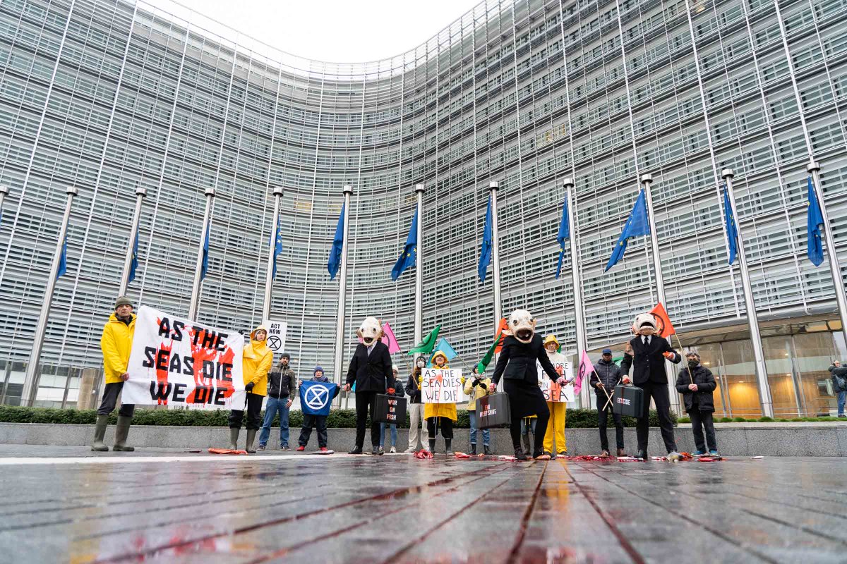Action with @oceanrebellion in front of @EU_Commission. 
Ministers are ‘negotiating’ next year's EU fishing limits. Year after year targets are set above the level advised by scientists. As a result our seas a near empty.
#ProtectTheOceans #AsTheSeaDiesWeDie
