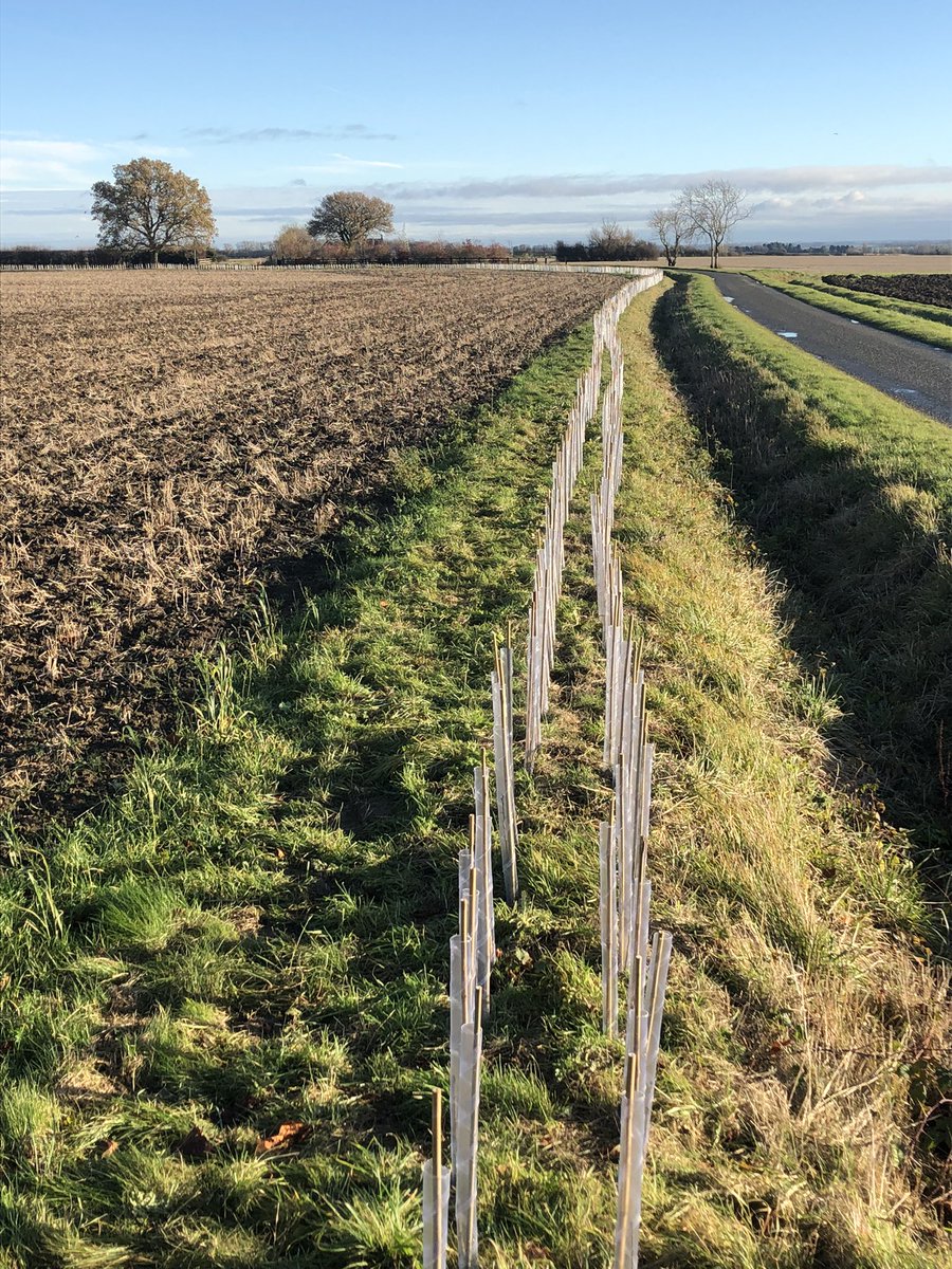 Great job by Joe and his team  @AvelandT 👍