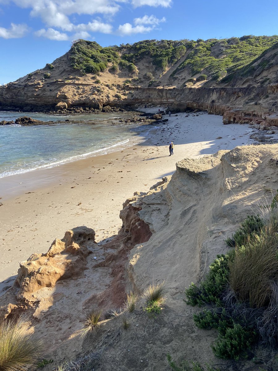 breisme11's tweet photo. @Noodles_NFT I am surrounded by beautiful beaches where I live, here’s one of them. https://t.co/KOJh4FfPwL