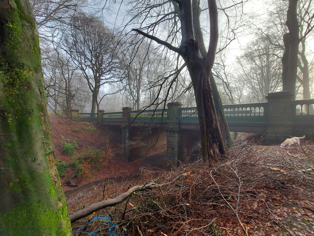 EscapeToTheCut's tweet photo. Some of the ornate cast iron bridges running threw the Haigh Hall estate on the old Whelly loop line. https://t.co/c9CPPURNKX