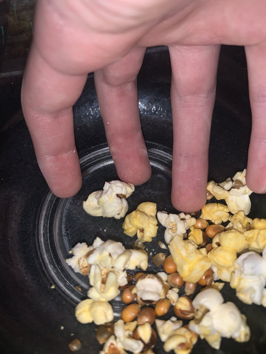Xeiino's tweet photo. When ya life is a movie gotta kee pop corn on you 😹😹😹🤯👍🤝 https://t.co/3CzCdF9OAQ