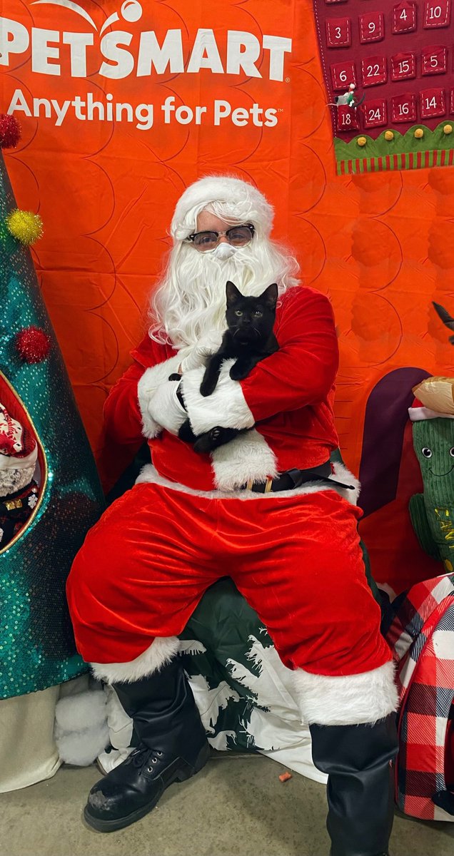McNeal_Morgan3's tweet photo. No of course I didn’t take my cat to get pictures with Santa that would be embarrassing. https://t.co/3MsQqjJT5M