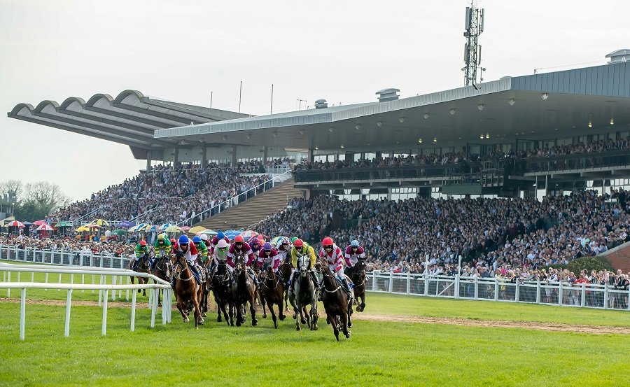 🚨 Giveaway! 

🏇 We have 3 pairs of tickets to Giveaway for <a href="/Fairyhouse/">FairyhouseRacecourse</a> on 1/1/2022.

👇 To enter, simply

1️⃣ Retweet this post
2️⃣ Follow <a href="/FansBet/">FansBet</a>
3️⃣ Follow <a href="/bookmakers/">bm</a> 

🔥 Winner announced Tueaday 21/12/2021