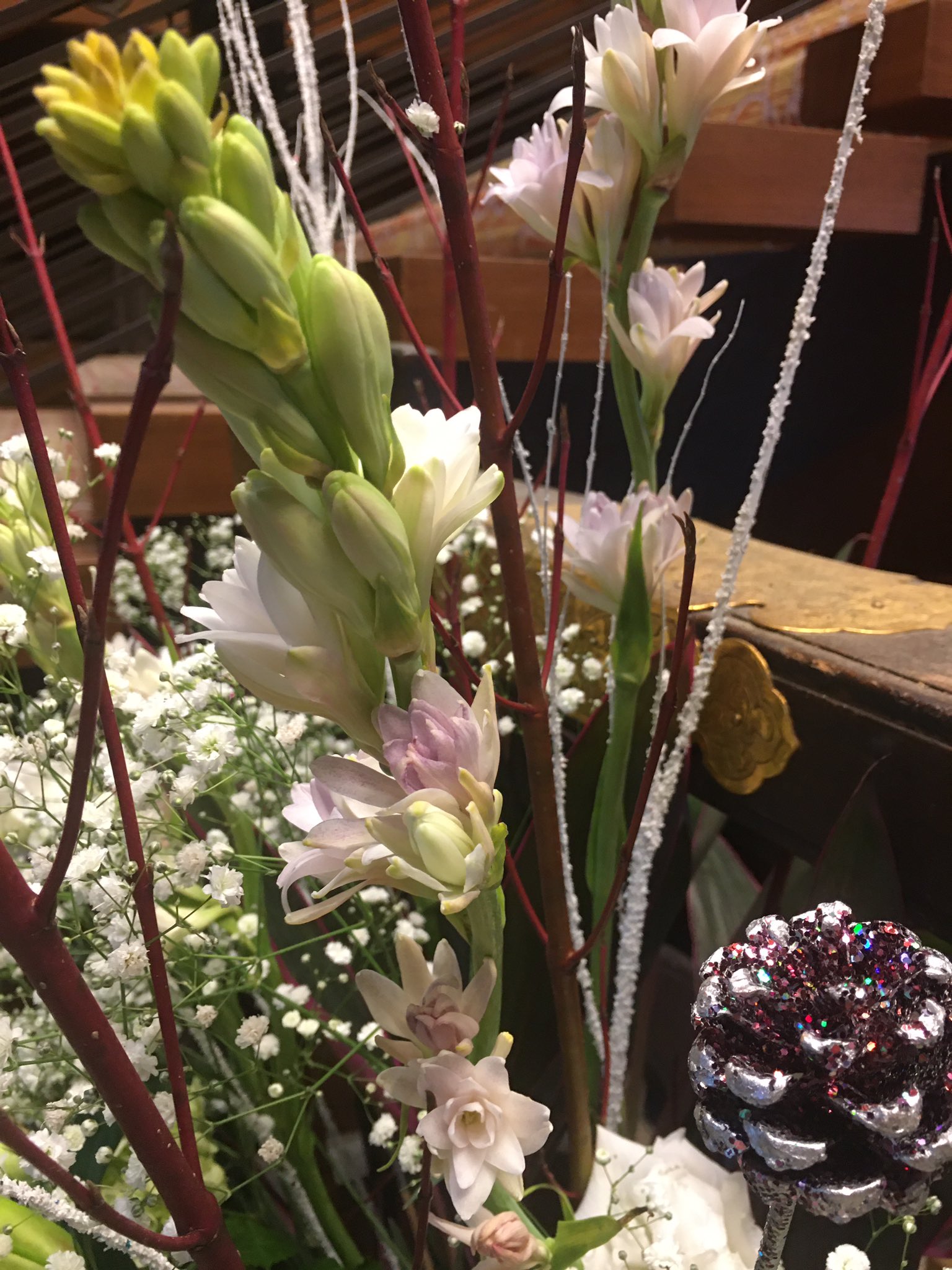 ケンケン おはようございます 12 月 晴れ 土曜にツィした花車の花の一つ チューベローズ 花言葉は官能的 危険な快楽 危険な関係 この花は 香水としても使用されていたから こんな妖艶な花言葉になっています 今週もよろしくお願いします