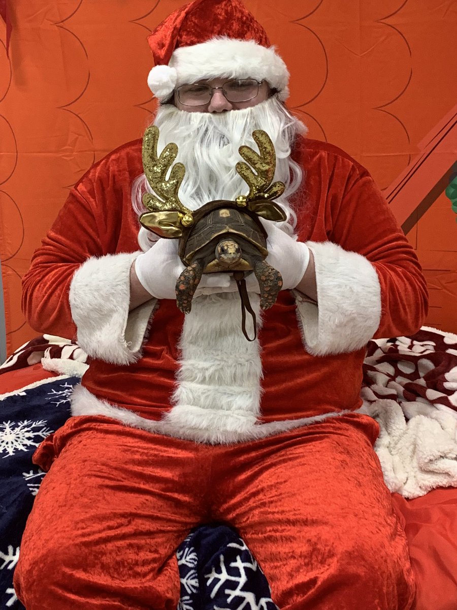 LunaTortoise's tweet photo. I pooped on santa 😈 https://t.co/6OSMHNvnpz
