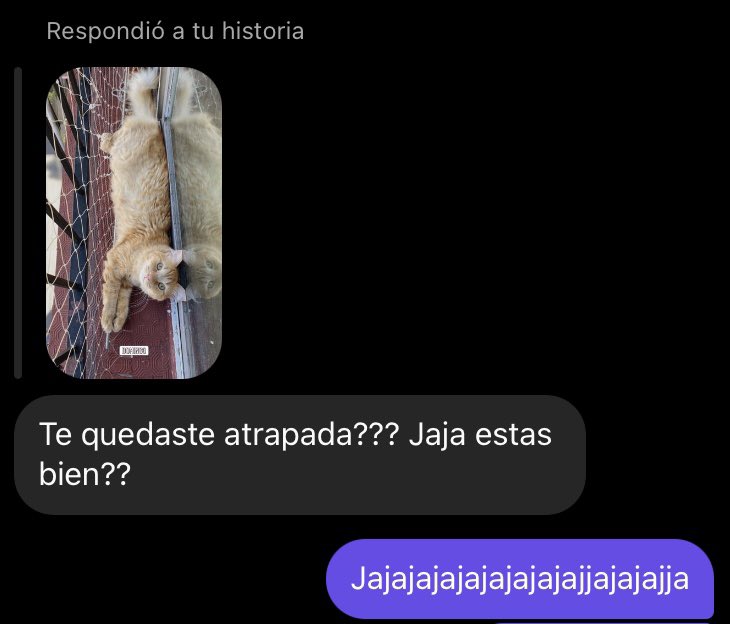 micanevoran's tweet photo. De salón https://t.co/4gYfHeO99I