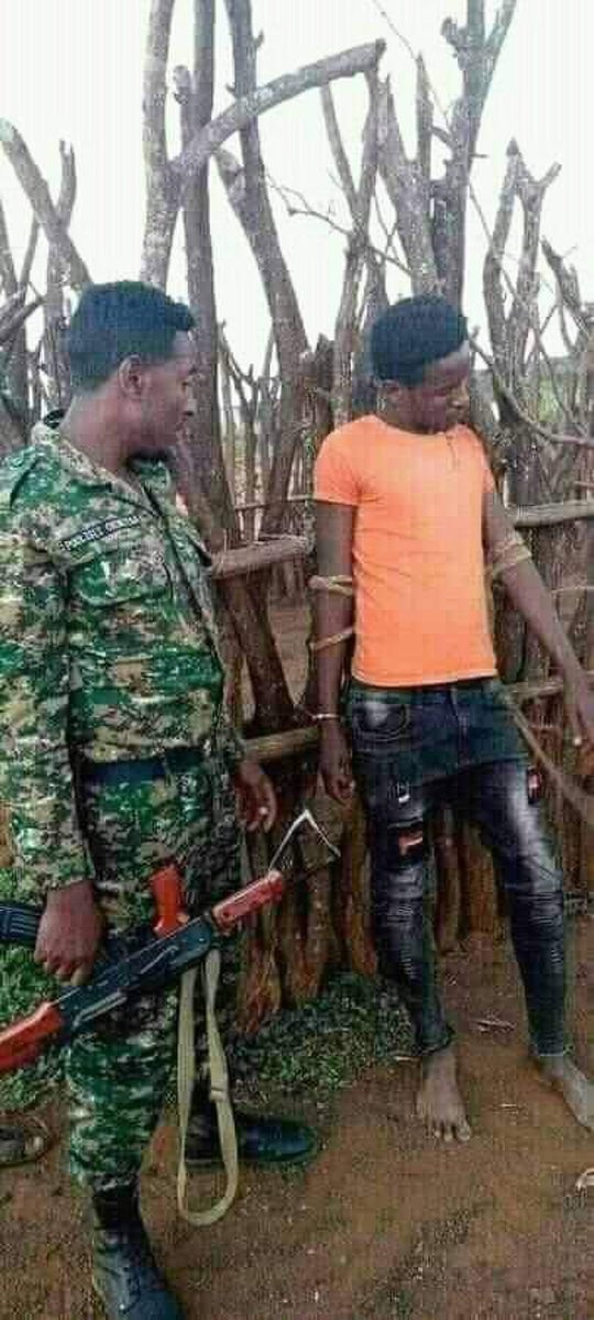 henokgabisa's tweet photo. Abiy Ahmed’s local militia is seen committing lynching against Oromo youth. 

It is depressing to see this in 21st C. https://t.co/sVqrg6gO0o