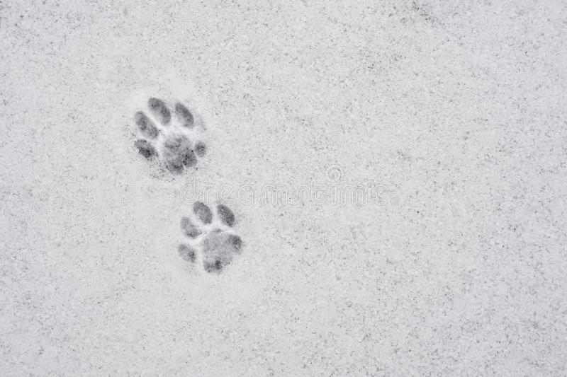 След следом кроют, а перед этим следуют за вереницей стоповых улик! Все дороги ведут в Рим, а форменные отголоски лапок до кровати! Прогревайте конечности через соединения горячих снов с пяточными органами сбора тепла!