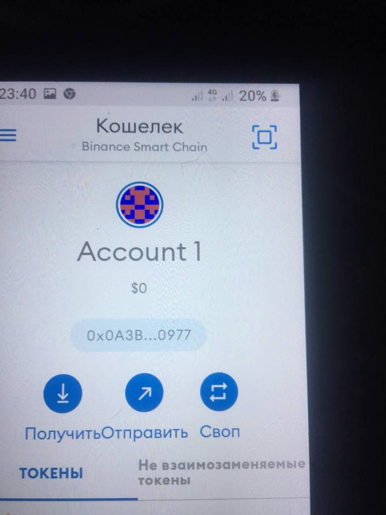 LBehtereva's tweet photo. @WonderHero_io https://t.co/3xgfZ67WmQ