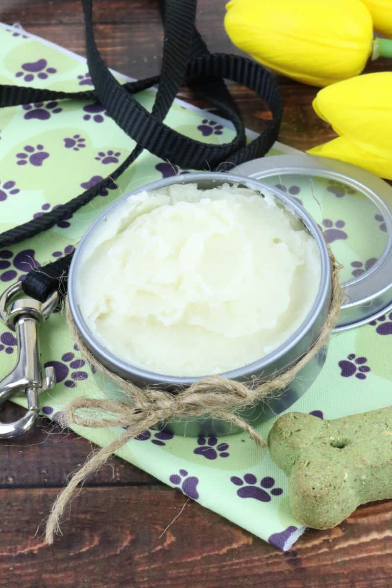 ellenblogs's tweet photo. If your dog’s nose is rough and you’re wondering how to help, keep reading. This dog nose butter recipe is the perfect way to soothe their nose.
Read more 👉 https://t.co/00hCAkx37T
#dogs #dogdiy https://t.co/RnxsXngZa9
