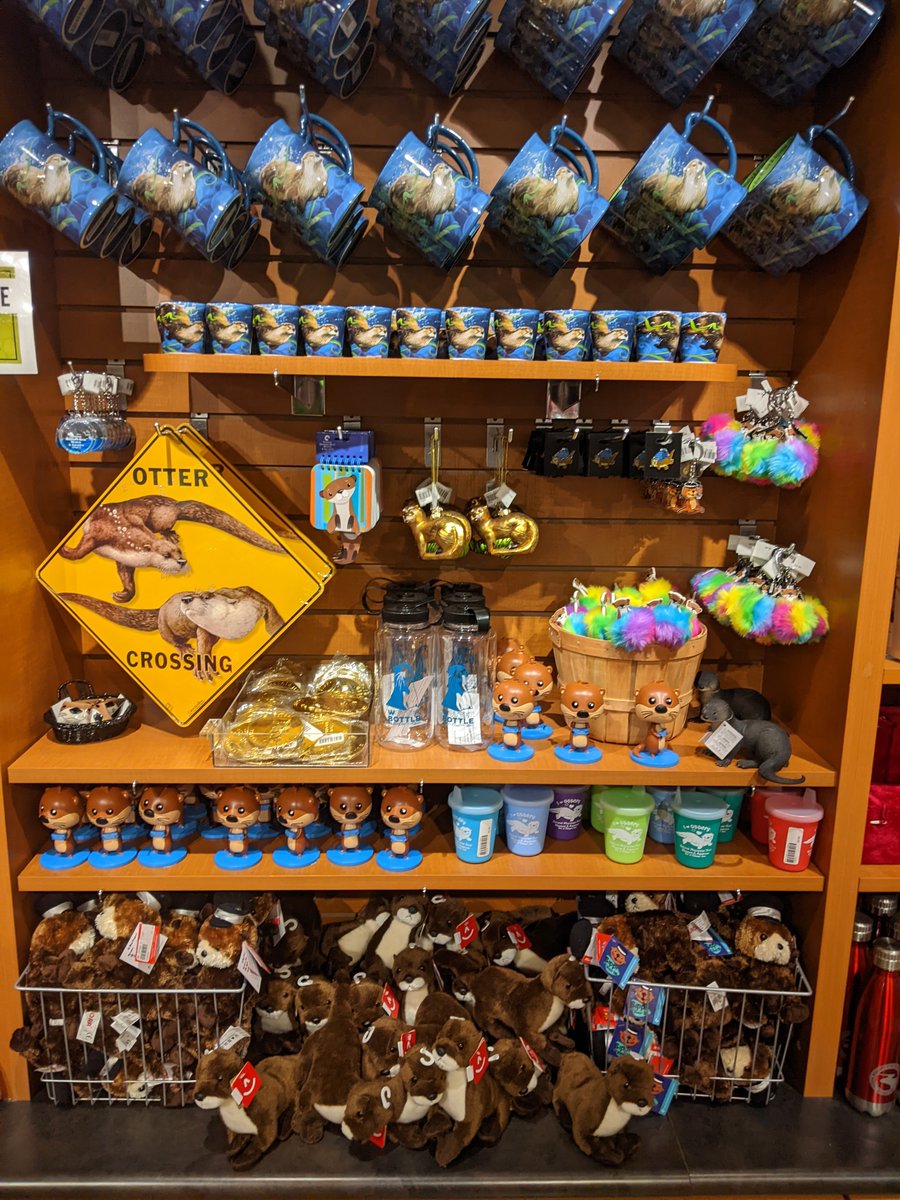 Castor Shiningcastor Twitter