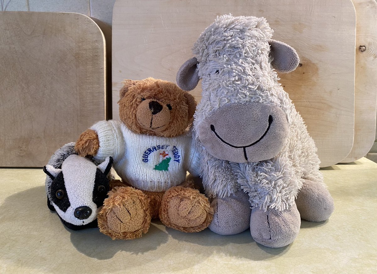 We are being helped tonight by our lovely <a href="/GuernseyBears/">Guernsey Bears</a> friend Bertram 😍 #ChristmaswithBella #MasterChefSheep