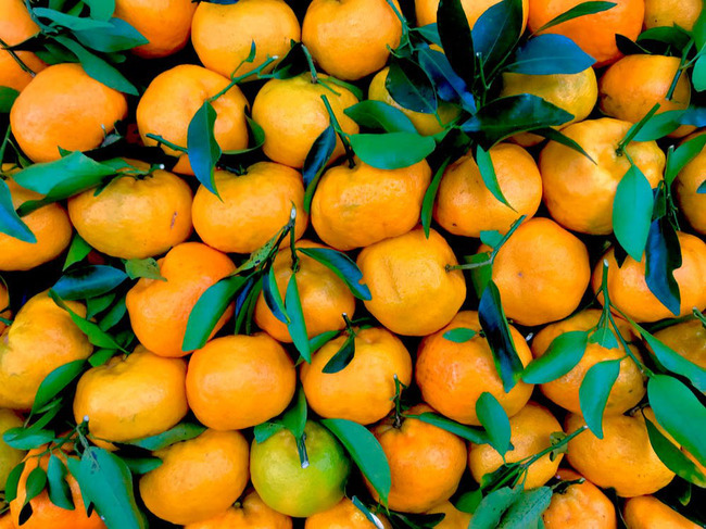 myJaneru's tweet photo. Солнечные фрукты для самого зимнего праздника🍃🍊🍃
https://t.co/OoQ1eLYfxD https://t.co/DdQuK13fV9