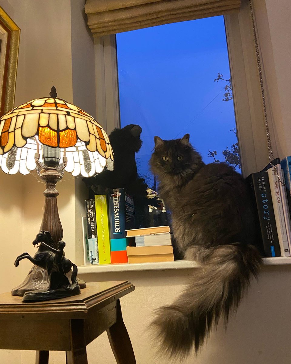 Cat_HollandBax's tweet photo. The corner window in my writing room - though actually I write everywhere. The cat invites himself. #WritingCommunity #cosyroom #CatsofTwittter https://t.co/Y1a48C9wVG
