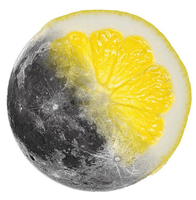The LEMOOON is happening 👀🍋

<a href="/LittlelemonsNFT/">Little Lemon Friends</a>