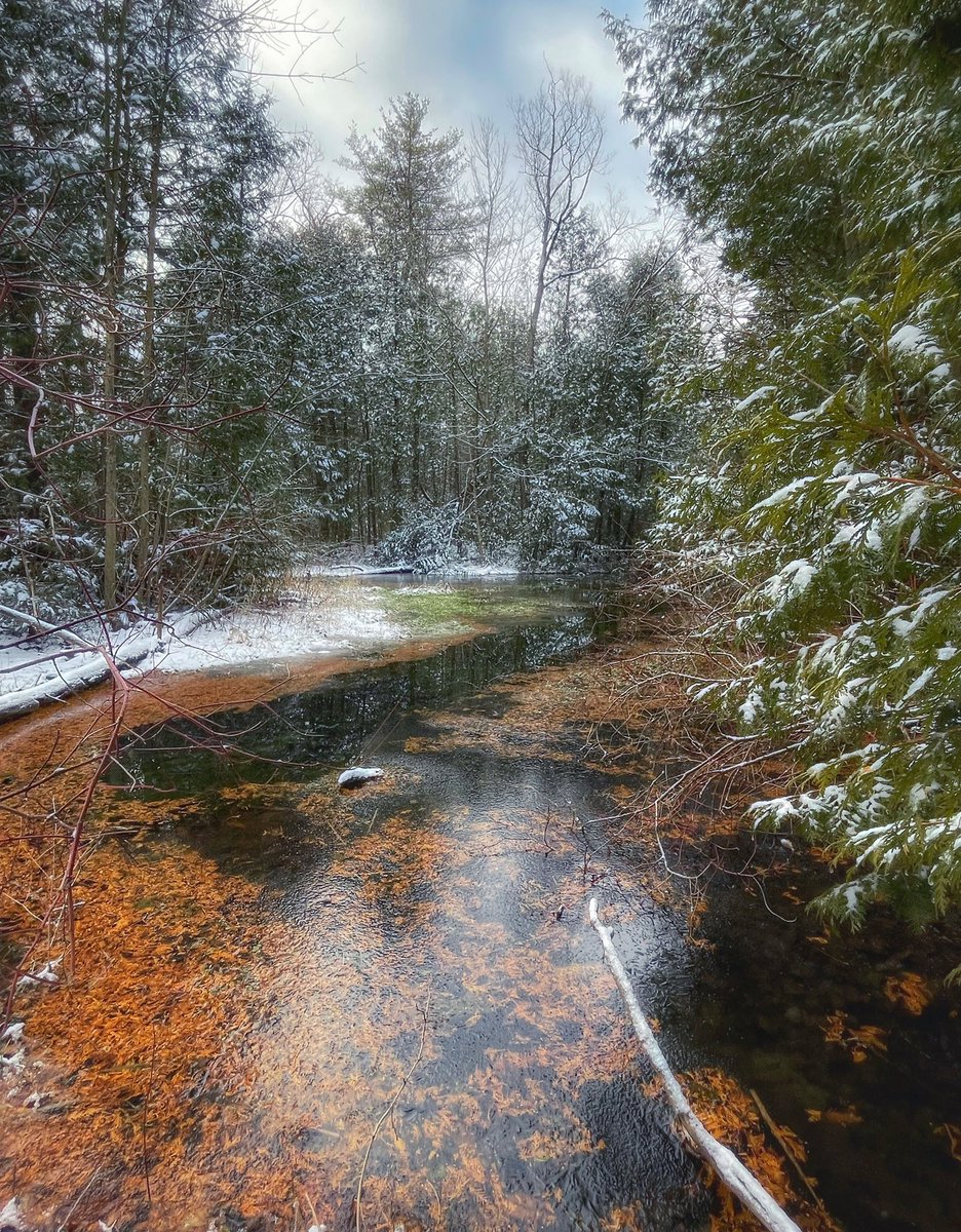 in_thin_air's tweet photo. Find your favourite places and return often ❄️ https://t.co/4j47cUWVsc
