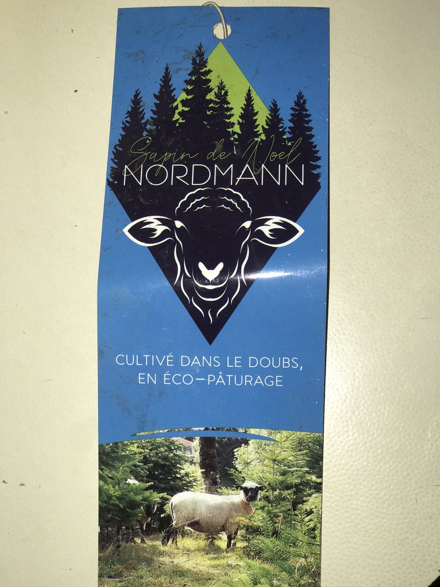 laurentmichel75's tweet photo. Un vrai sapin #epicea éco-pâturage cultivé dans le @Doubscd25 à #Lavans Vuillafans par des agriculteurs qui ont l’amour de leur métier. Perpétuer la tradition de la fête de #Noel en respectant la #nature https://t.co/Gwok90HR80