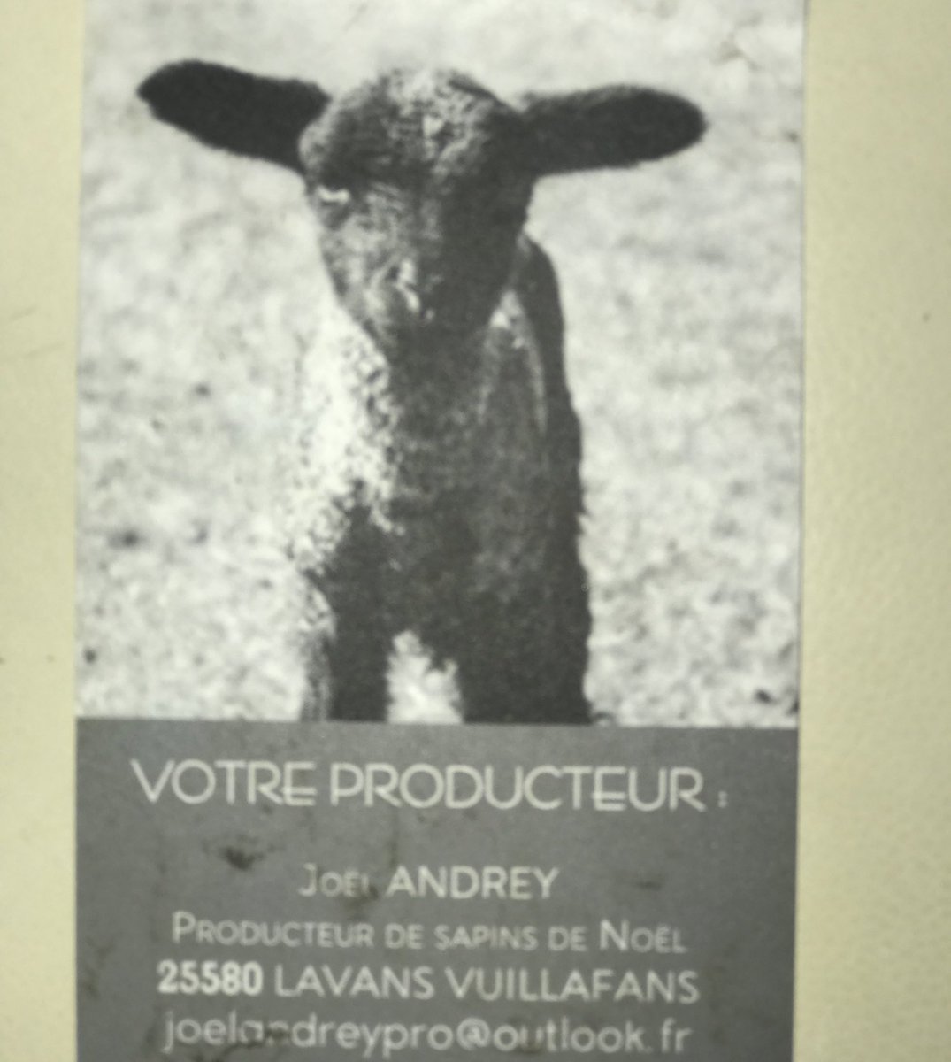 laurentmichel75's tweet photo. Un vrai sapin #epicea éco-pâturage cultivé dans le @Doubscd25 à #Lavans Vuillafans par des agriculteurs qui ont l’amour de leur métier. Perpétuer la tradition de la fête de #Noel en respectant la #nature https://t.co/Gwok90HR80