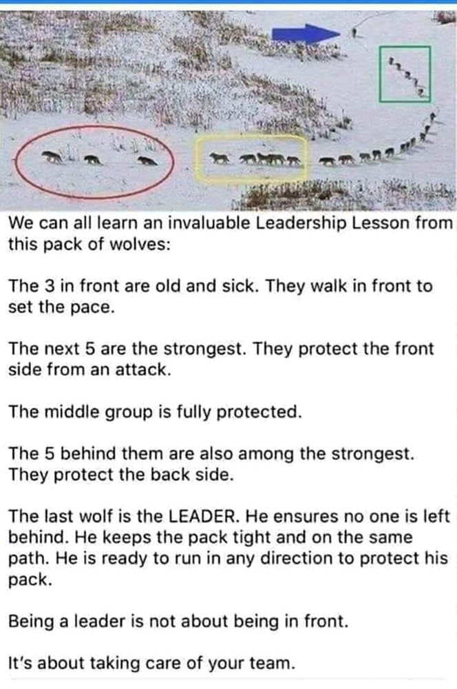 This 🤍