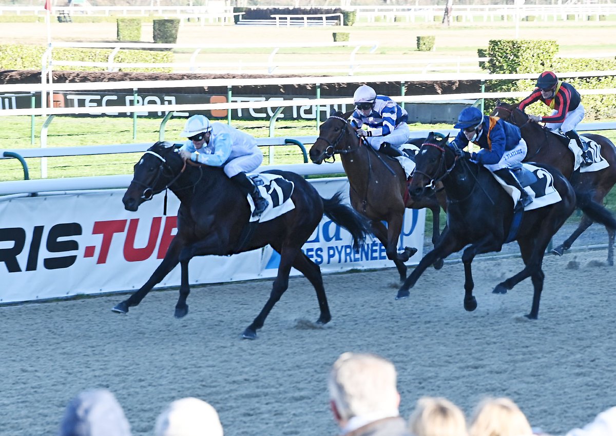 Jour de Galop tweet media