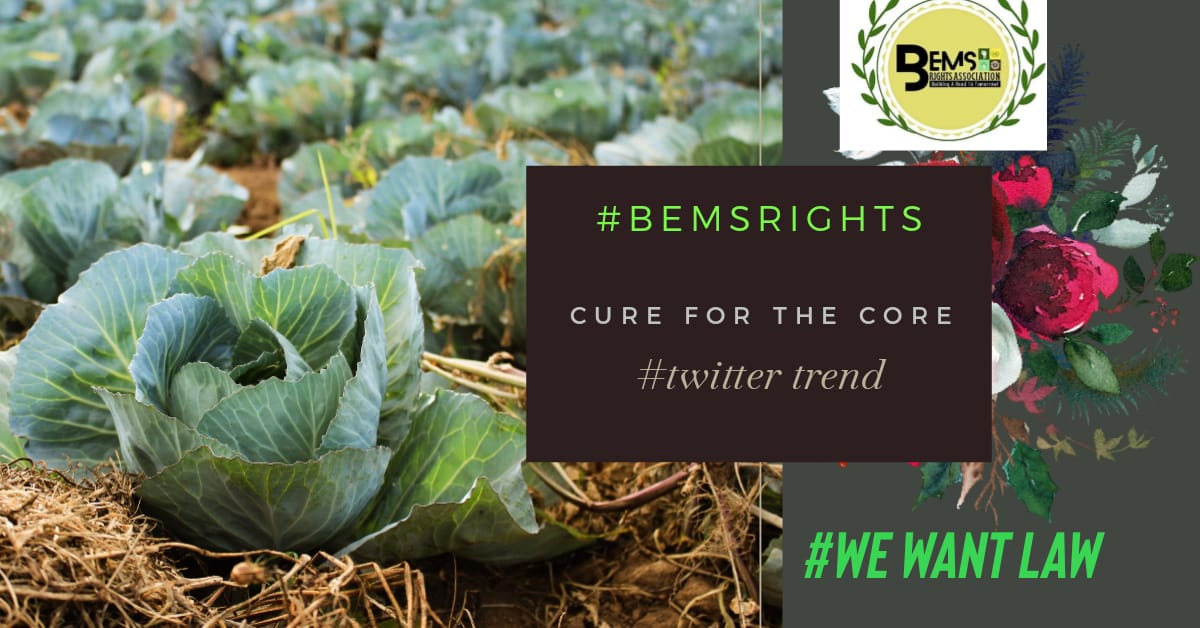 islam_ateeq's tweet photo. #BEMSRIGHTs
@hecpkofficial
@nhsrcofficial
@PHC_Punjab
Eastern Medicine is medicine derived from the natural sources like animals, microbs and minerals and plants.
Almost 70 percent medicine derived from the natural sources.
Like Mannitol, metformin, Asprine, iodine tincture https://t.co/Yy9omGpDto