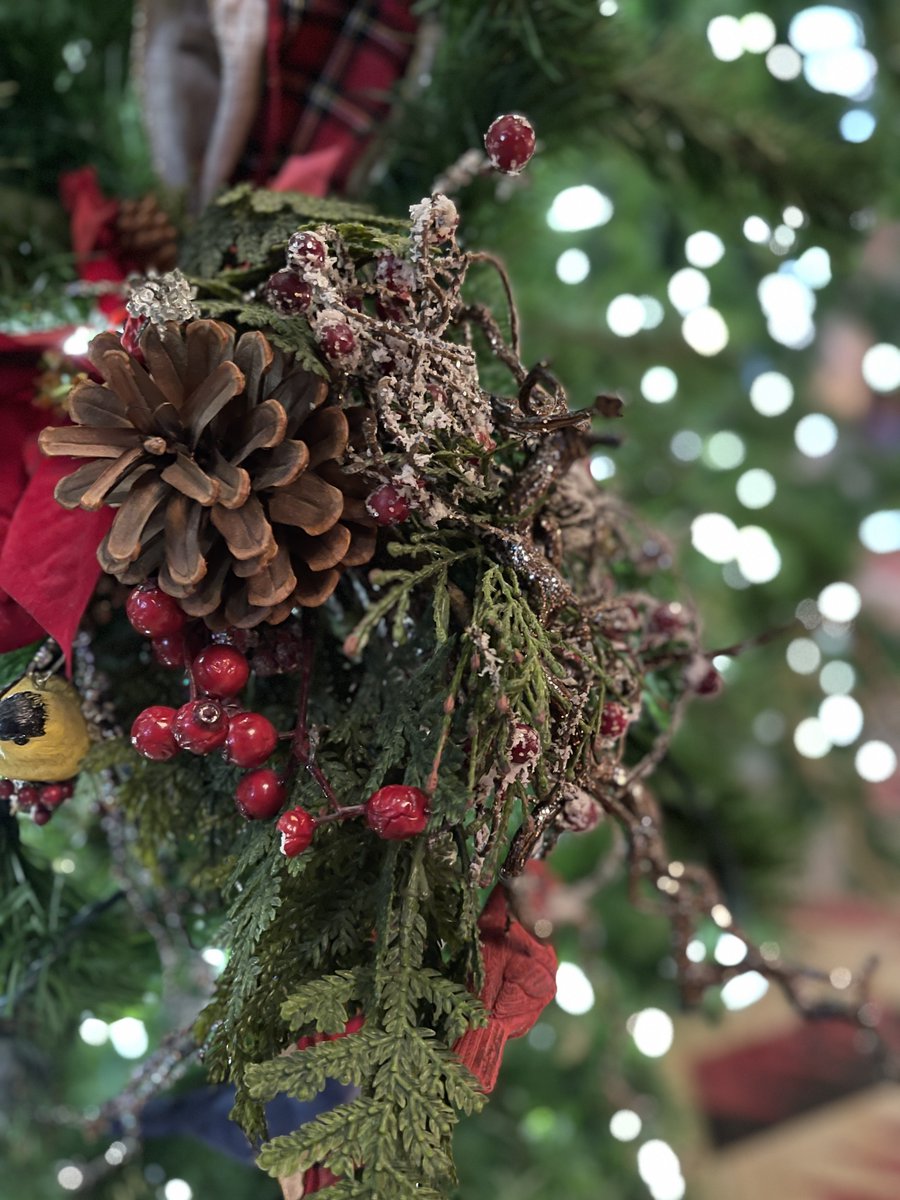 When you're blacked-out, don't be bummed. 

Visit the resorts to check out the awesome decorations they've got. Soak it in and don't just speed through. There is so much creative beauty they pack into these places. 

Merry Christmas!

#Disney