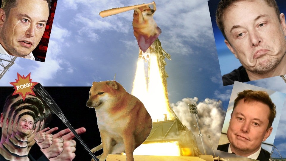 We are SUPER HYPED for the launch of our memecoin into space, being streamed on twitch.tv/dogebonkoffici… at 2pm/PST/5pm EST/10pm GMT/11pm CET

#SorryElon #DogeBonk $dobo #doge #dogecoin <a href="/elonmusk/">Elon Musk</a>